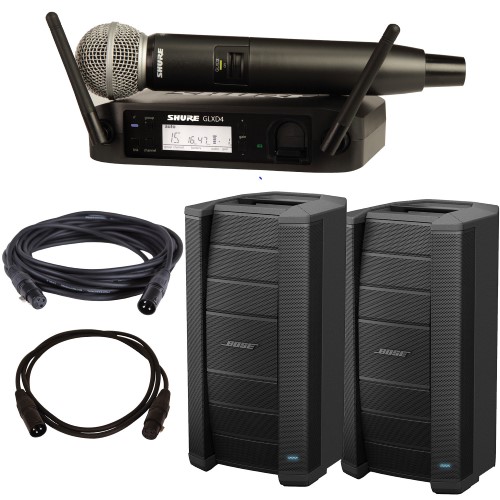 Professional Sound System